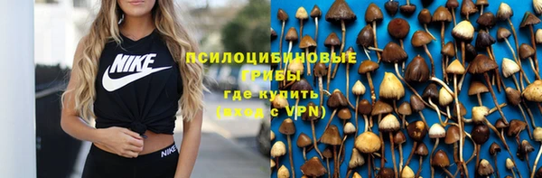 мяу мяу кристалл Арсеньев
